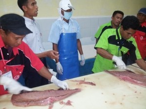Memfillet Ikan Tuna